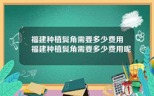 福建种植鬓角需要多少费用福建种植鬓角需要多少费用呢