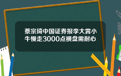 蔡宗琦中国证券报李大霄小牛慢走3000点横盘需耐心