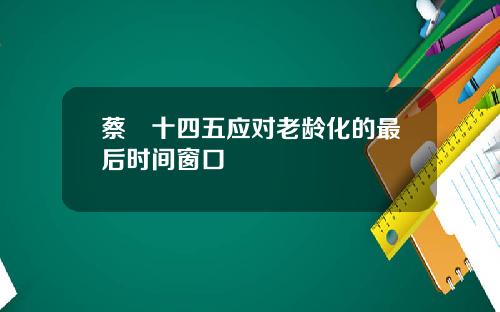 蔡昉十四五应对老龄化的最后时间窗口