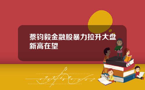 蔡钧毅金融股暴力拉升大盘新高在望