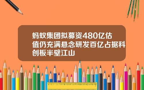 蚂蚁集团拟募资480亿估值仍充满悬念研发百亿占据科创板半壁江山