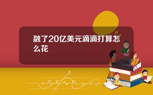 融了20亿美元滴滴打算怎么花
