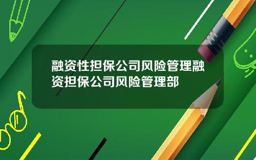 融资性担保公司风险管理融资担保公司风险管理部