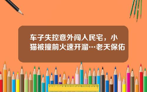 车子失控意外闯入民宅，小猫被撞前火速开溜…老天保佑