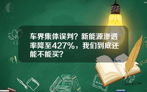 车界集体误判？新能源渗透率降至427%，我们到底还能不能买？
