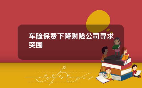 车险保费下降财险公司寻求突围