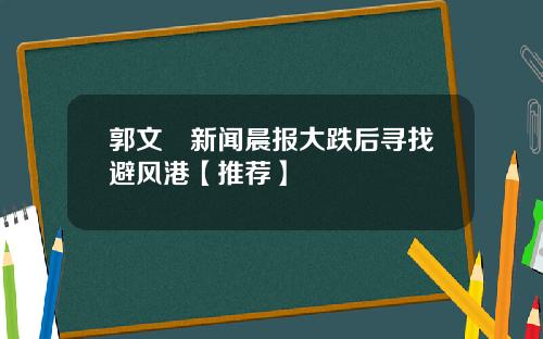 郭文珺新闻晨报大跌后寻找避风港【推荐】