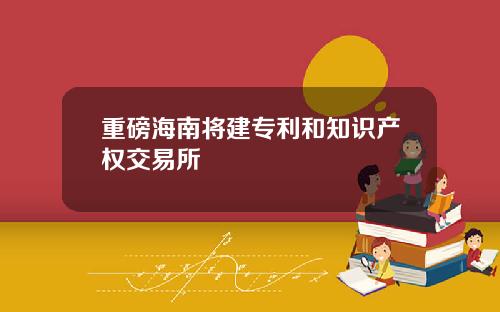 重磅海南将建专利和知识产权交易所
