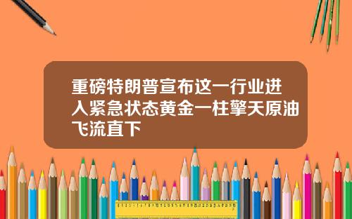 重磅特朗普宣布这一行业进入紧急状态黄金一柱擎天原油飞流直下