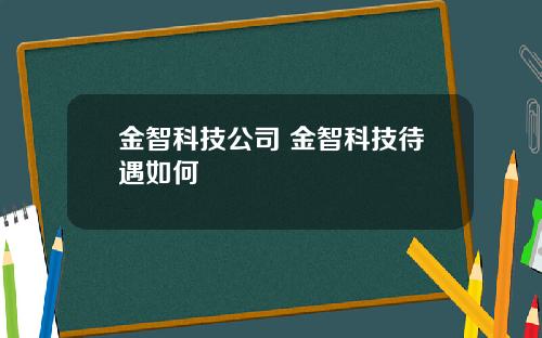 金智科技公司 金智科技待遇如何