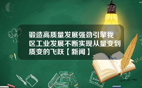 锻造高质量发展强劲引擎我区工业发展不断实现从量变到质变的飞跃【新闻】