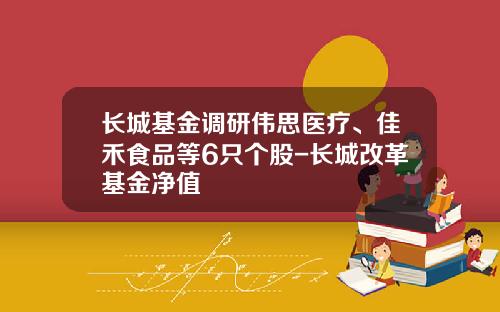 长城基金调研伟思医疗、佳禾食品等6只个股-长城改革基金净值
