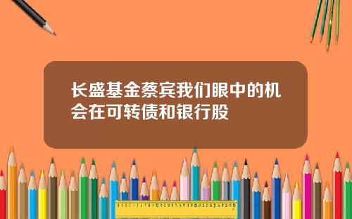 长盛基金蔡宾我们眼中的机会在可转债和银行股