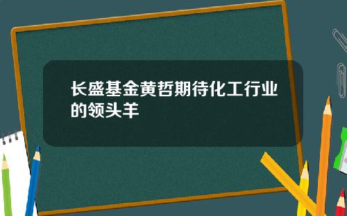 长盛基金黄哲期待化工行业的领头羊
