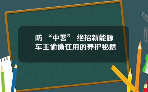 防 “中暑” 绝招新能源车主偷偷在用的养护秘籍