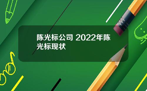 陈光标公司 2022年陈光标现状