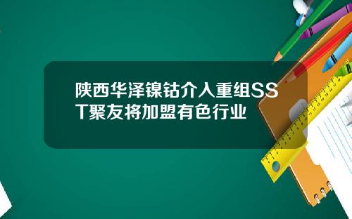 陕西华泽镍钴介入重组SST聚友将加盟有色行业