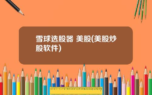 雪球选股器 美股(美股炒股软件)