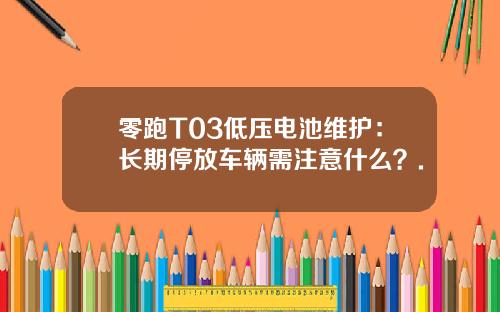 零跑T03低压电池维护：长期停放车辆需注意什么？.