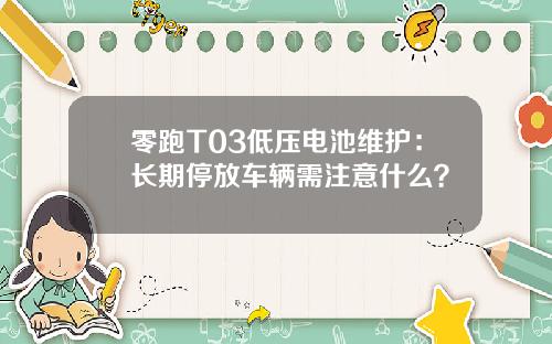 零跑T03低压电池维护：长期停放车辆需注意什么？