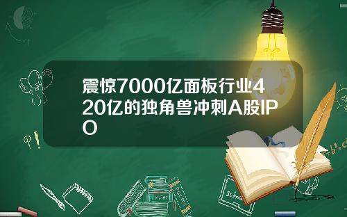 震惊7000亿面板行业420亿的独角兽冲刺A股IPO