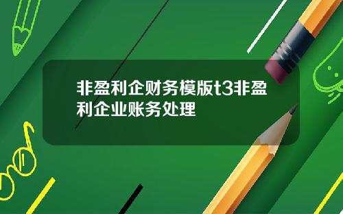 非盈利企财务模版t3非盈利企业账务处理