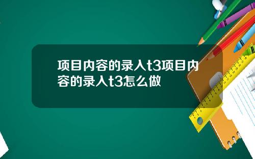 项目内容的录入t3项目内容的录入t3怎么做