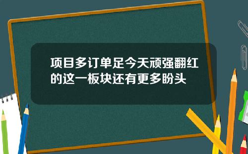 项目多订单足今天顽强翻红的这一板块还有更多盼头