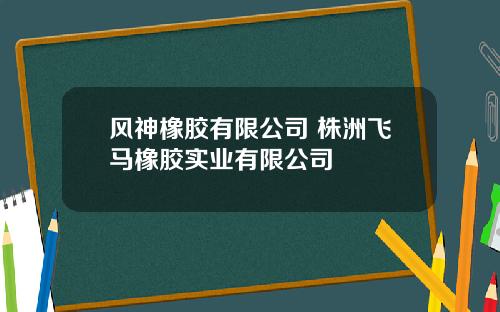 风神橡胶有限公司 株洲飞马橡胶实业有限公司