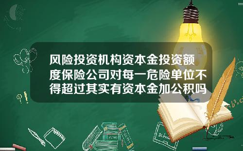 风险投资机构资本金投资额度保险公司对每一危险单位不得超过其实有资本金加公积吗