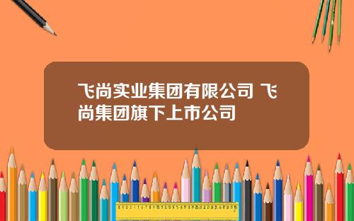 飞尚实业集团有限公司 飞尚集团旗下上市公司