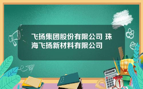 飞扬集团股份有限公司 珠海飞扬新材料有限公司