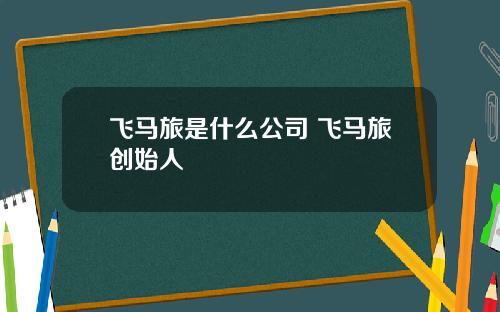飞马旅是什么公司 飞马旅创始人