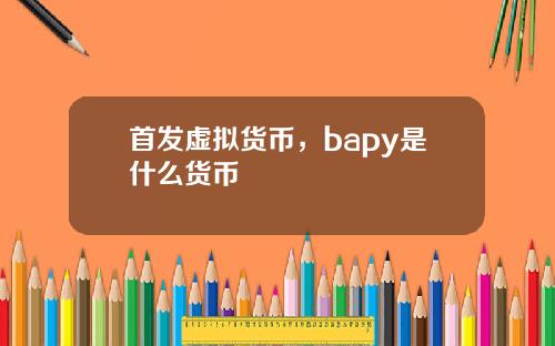首发虚拟货币，bapy是什么货币