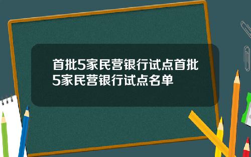 首批5家民营银行试点首批5家民营银行试点名单
