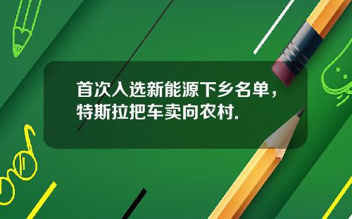 首次入选新能源下乡名单，特斯拉把车卖向农村.