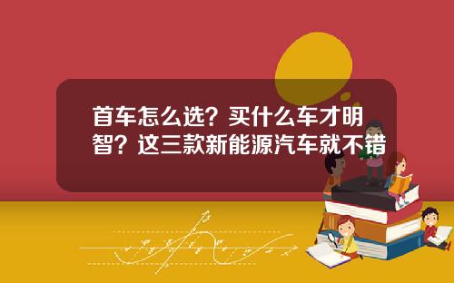 首车怎么选？买什么车才明智？这三款新能源汽车就不错