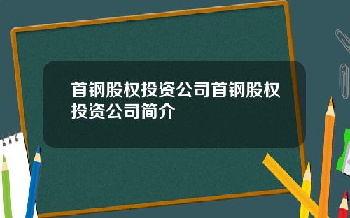 首钢股权投资公司首钢股权投资公司简介
