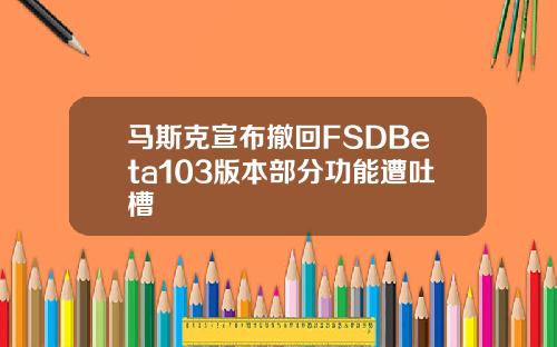 马斯克宣布撤回FSDBeta103版本部分功能遭吐槽