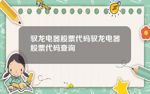 驭龙电器股票代码驭龙电器股票代码查询