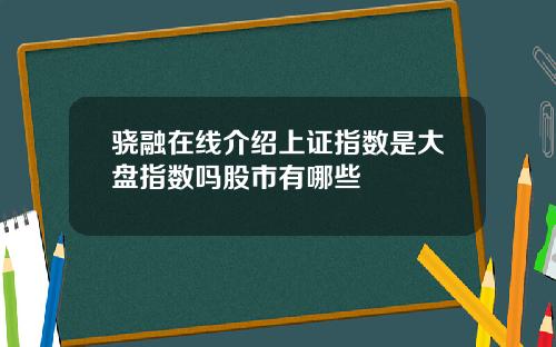 骁融在线介绍上证指数是大盘指数吗股市有哪些