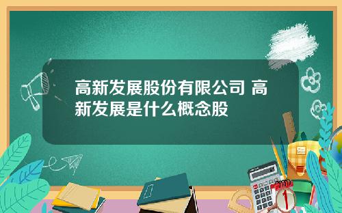 高新发展股份有限公司 高新发展是什么概念股