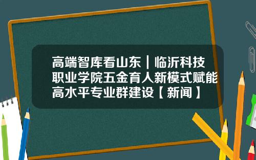 高端智库看山东｜临沂科技职业学院五金育人新模式赋能高水平专业群建设【新闻】