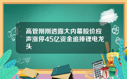 高管刚刚透露大内幕股价应声涨停45亿资金追捧锂电龙头