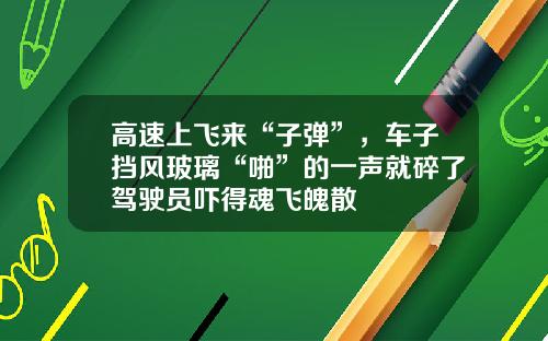 高速上飞来“子弹”，车子挡风玻璃“啪”的一声就碎了驾驶员吓得魂飞魄散
