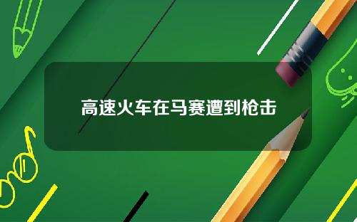 高速火车在马赛遭到枪击