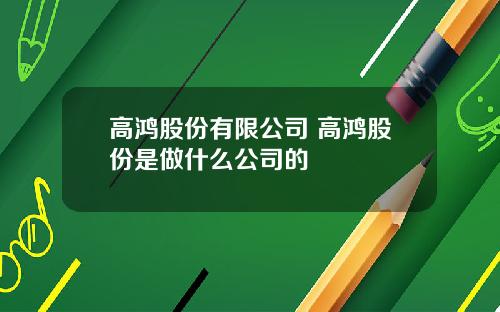 高鸿股份有限公司 高鸿股份是做什么公司的