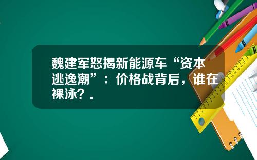 魏建军怒揭新能源车“资本逃逸潮”：价格战背后，谁在裸泳？.