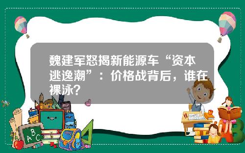 魏建军怒揭新能源车“资本逃逸潮”：价格战背后，谁在裸泳？