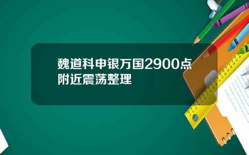 魏道科申银万国2900点附近震荡整理